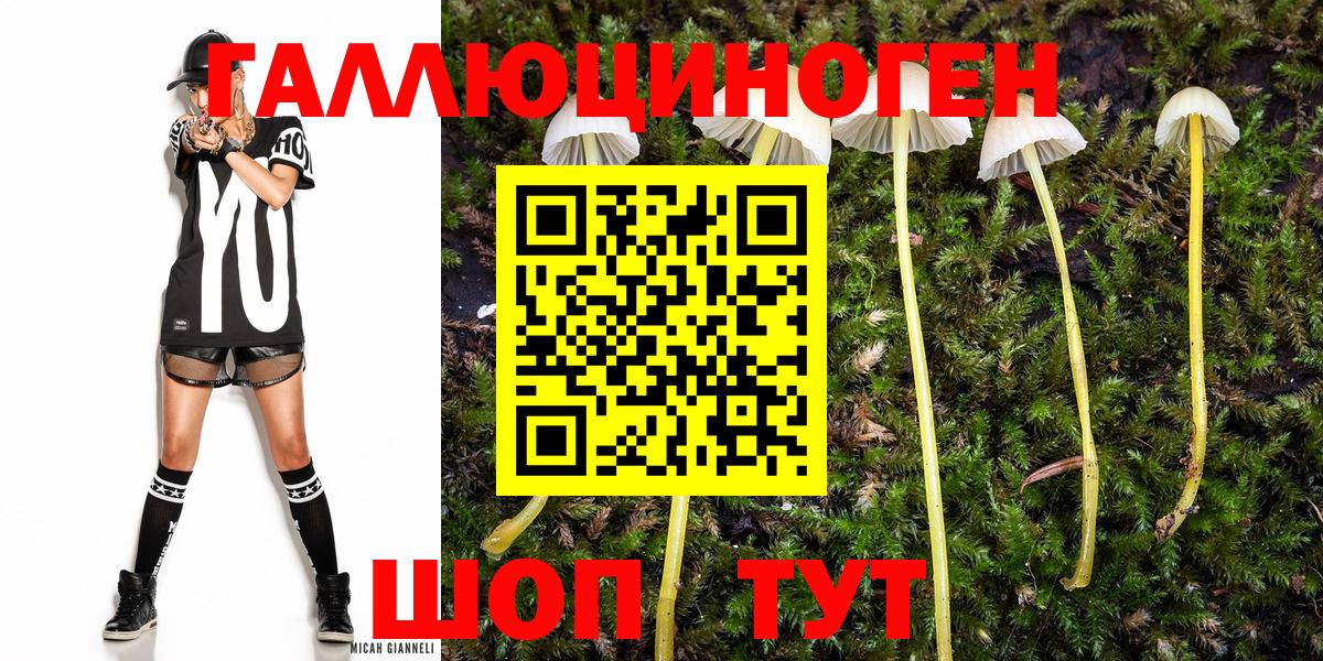Арзамас  где можно купить   Вход с VPN  Галлюциногенные грибы Magic Shrooms 